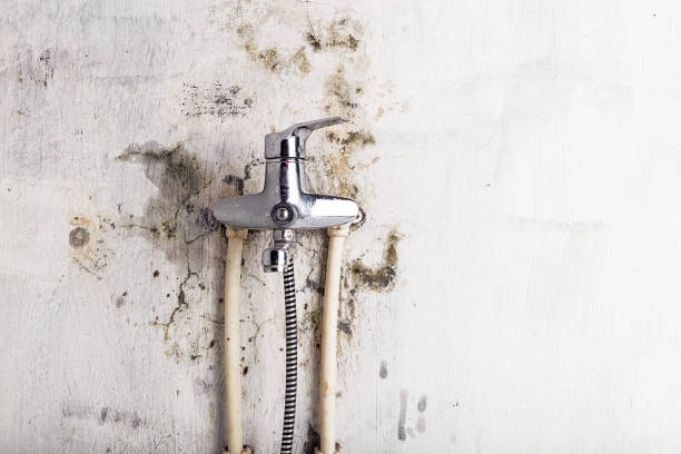 Best Residential Mold Removal  in Pixley, CA