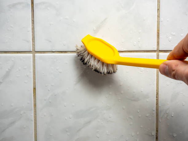 Best Office Mold Removal Services  in Pixley, CA