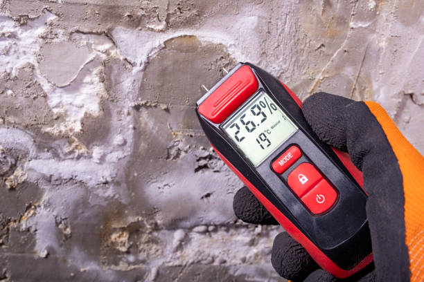 Best Certified Mold Removal  in Pixley, CA
