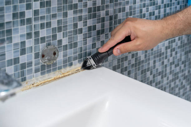 Reliable Pixley, CA Mold Removal Solutions