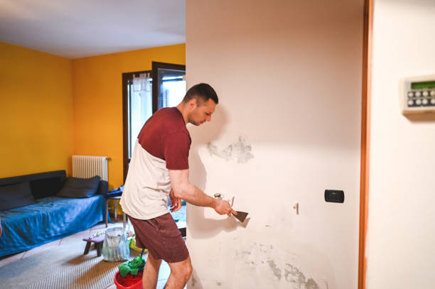 Office Mold Removal Services in Pixley, CA