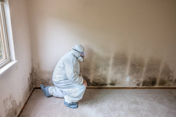 Best Attic Mold Removal  in Pixley, CA