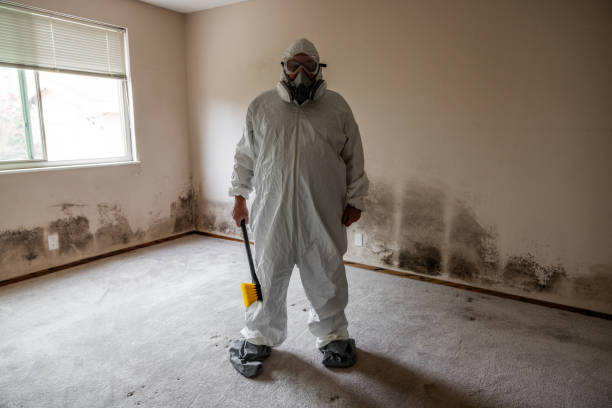 Mold Testing and Removal in Pixley, CA