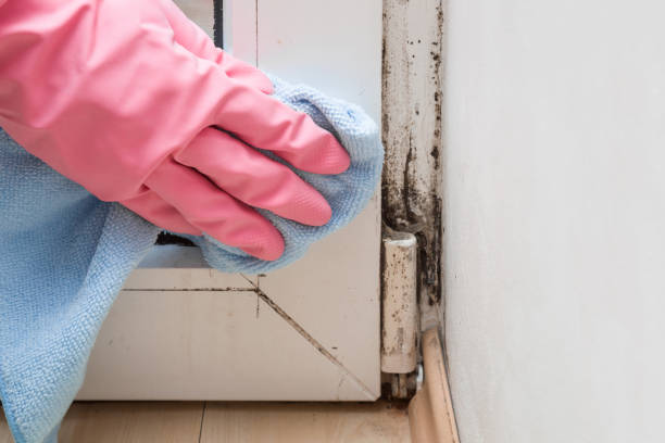 Best Commercial Mold Removal  in Pixley, CA