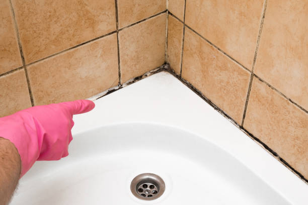 Best Best Mold Removal Companies  in Pixley, CA